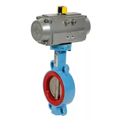 1157DN100 et APS86RE.jpg