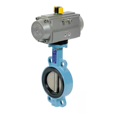 1150DN100 et APS86RE.jpg