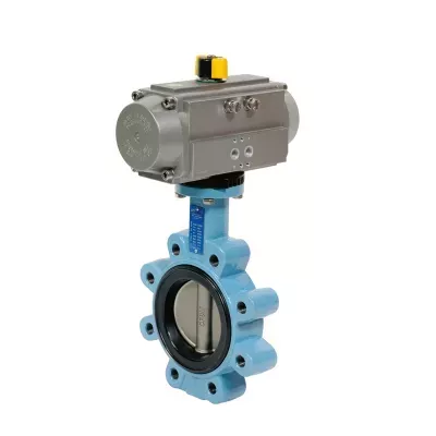 1160DN100 et APS86RE.jpg