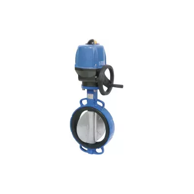 VP+Valpes VS bleu.jpg