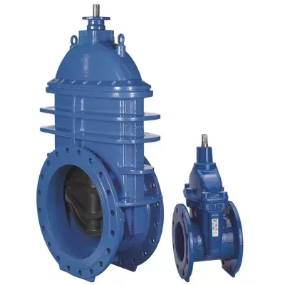 gate_valve_flanged_water_06_30_dn100_600_184847.jpg