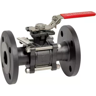 765 XS + Poignee.jpg