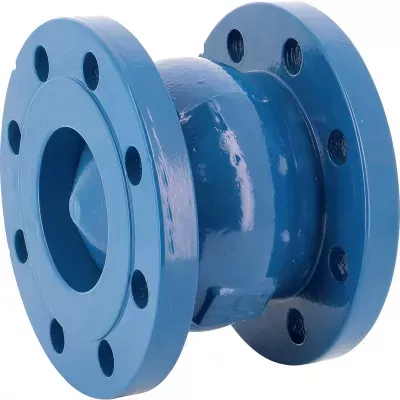 366-clapet fonte Bleu.jpg